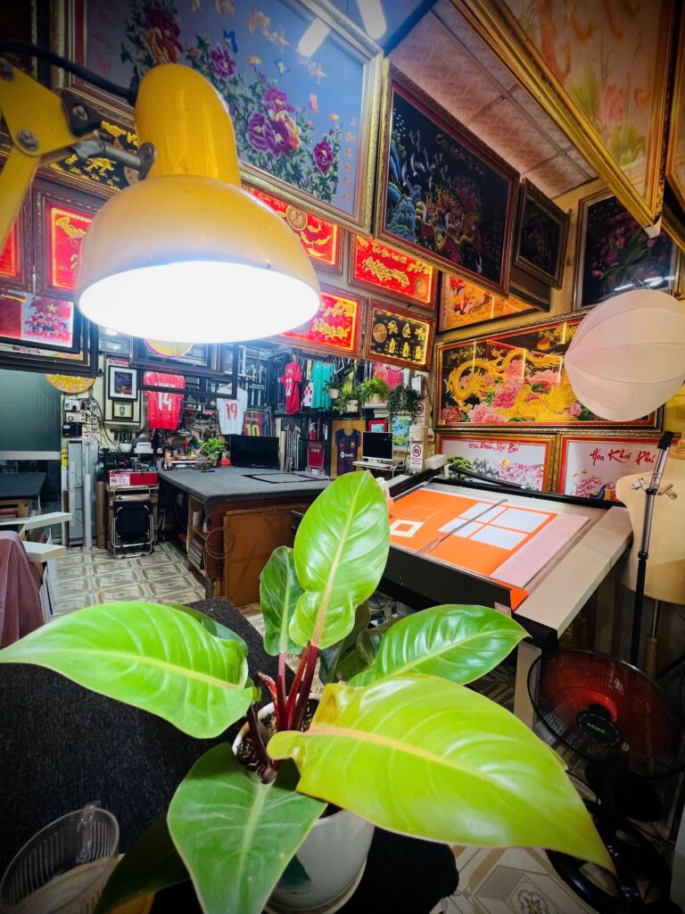 THỂ THAO TRONG KHUNG HÌNH 6 THỂ THAO TRONG KHUNG HÌNH