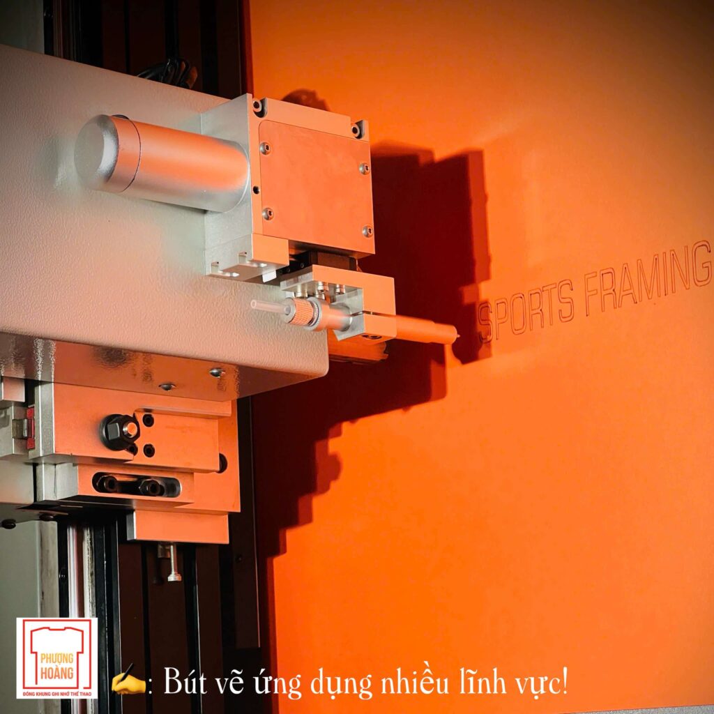 THỂ THAO TRONG KHUNG HÌNH 11 THỂ THAO TRONG KHUNG HÌNH